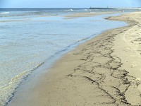 Łeba plaża zachodnia po burzy