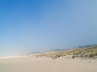Wydmy - opad mgły, Słowiński Park Narodowy