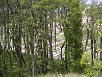 Wydmy, Słowiński Park Narodowy