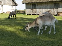 Muzeum Wsi Słowińskiej w Klukach