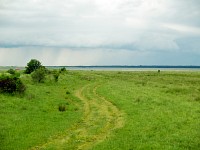 Łąki Łebskich Błot nad jeziorem Łebsko