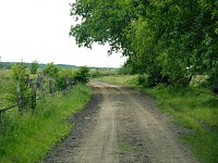 Ścieżka Przyrodnicza Łebskie Błota